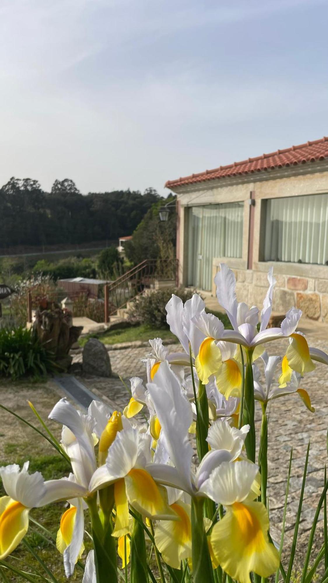 Quinta De Villasete Alpendurada Exterior foto